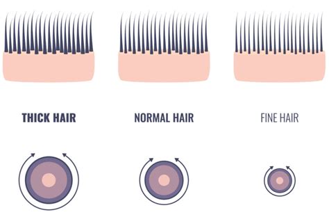 thickness of hair